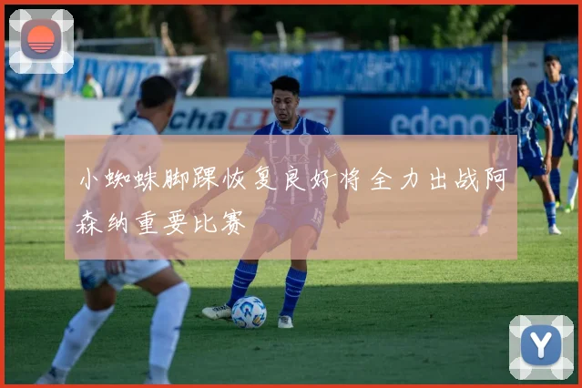 小蜘蛛脚踝恢复良好将全力出战阿森纳重要比赛